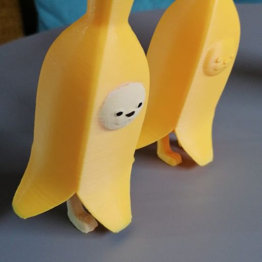 WhatsApp-Image-2023-10-09-at-17.16.54.jpeg Gato banana print in place