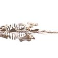 06.jpg stegosaurus, complete 3D skeleton.