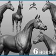 horse.204.jpg Horse Breeds Collection