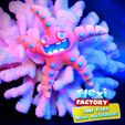 flexi-factory_starfish_3mf.jpg Cute Flexi Print-in-Place Starfish with 3MF Included!