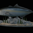 Greater-Amberjack-statue-1-17.png fish greater amberjack / Seriola dumerili statue underwater detailed texture for 3d printing