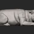 pug-for-3d-printing-3d-model-28acb593ae.jpg pug is sleeping 3D print model