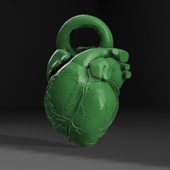 Anatomic-Heart-Pendant.png Cutest Anatomical Heart Pendant