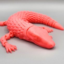 20240418_161611.jpg Super Flexi Dragon de Komodo et Gecko