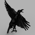 werrwee2.png Descargar archivo STL gratis Crow・Modelo para la impresora 3D, quaddalone