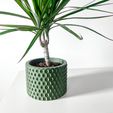 misprint-1479.jpg The Ondir Planter Pot with Drainage | Modern and Unique Home Decor for Plants and Succulents  | STL File