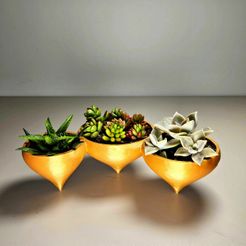 F1b.jpg Succulent Pixie Pots