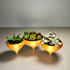 F1b.jpg STL-Datei Sukkulente Pixie-Töpfe kostenlos・3D-Drucker-Modell zum herunterladen