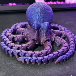 Octopus 2.0