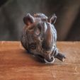 3.jpg Rhino Head Bust - With or Without Cigar