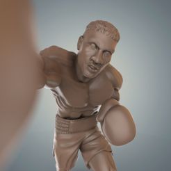 untitled.388.jpg Boxe