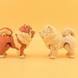 20260726_134425.jpg Articulated Chow Chow 🐾✨