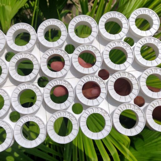 Venezuelan cupcake cutter plate with coupling