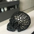 IMG_3135.JPG Voronoi skull
