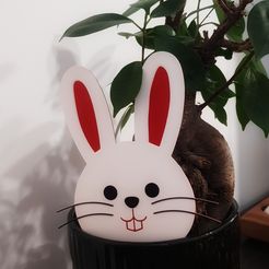 20230320_181805-01.jpeg STL file Cute bunny face・3D print model to download