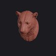 leopard_0001.jpg Leopard Head