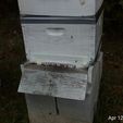 c973b48794be18d5e6371eac5af11874_display_large.jpg Beehive Entrance Reducer/MouseGuard Resized