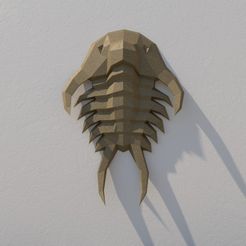 03.jpg Download OBJ file Trilobites low poly • 3D printer model, vitascky
