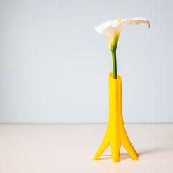 _MG_3501.jpg Fichier 3D Vase Fiorello・Plan pour impression 3D à télécharger, Tulofai