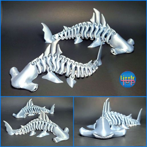 Hammerhead Shark Bones