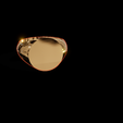 snapshot-6.png anel redondo 3D