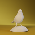 0001.png Canary
