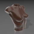 04.png 3D file Bust 04・Template to download and 3D print
