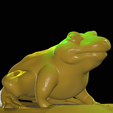Frog2-2.png Frog