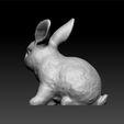 a33.jpg rabbit bunny - toy for kids