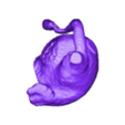 STL00004.stl 3D Model of Human Heart with Mirror Dextrocentric - generated from real patient