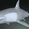 10.jpg SHARK, DOWNLOAD Shark 3D modeL - Animated for Blender-fbx-unity-maya-unreal-c4d-3ds max - 3D printing SHARK SHARK FISH - TERROR  - PREDATOR - PREY - POKÉMON - DINOSAUR - RAPTOR