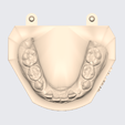 Captura-de-pantalla-2024-02-19-222454.png ARTICULATED UPPER AND LOWER DENTAL MODEL (10)