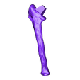 Ulna_Right.OBJ OBJ file Life size baby T-rex skeleton - Part 07/10・3D printer design to download