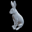 Realistic-Sitting-Hare-Rabbit.png Realistic Sitting Hare Rabbit 3D Printable STL Model