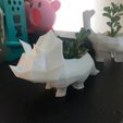 triceratops3.jpeg TRICERATOPS LOW-POLY PLANT POT - TRICERATOPS PLANT POT
