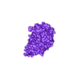 6n2y_A.stl Structure of a bacterial ATP synthetase. PDB:ID 6N2Y
