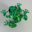 Photo-Aug-02-2023,-9-30-09-AM~2.jpg Articulated Poison Dart Frog