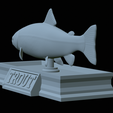 Trout-statue-31.png fish rainbow trout / Oncorhynchus mykiss statue detailed texture for 3d printing