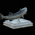 Barracuda-huba-trophy-7.png fish great barracuda statue detailed texture for 3d printing