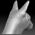 6.jpg Sphynx cat head for 3D printing