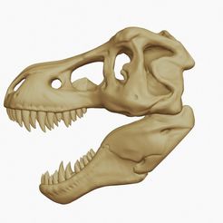 16.jpg Tyrannosaurus_Rex skull