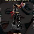h-13.jpg Harley Quinn and Catwoman - Collecible Edition