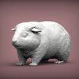 Teddy-Guinea-Pig2.jpg Teddy Guinea Pig 3D print model