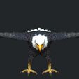 03.jpg Eagle Eagle - DOWNLOAD Eagle 3d Model - Animated for Blender-Fbx-Unity-Maya-Unreal-C4d-3ds Max - 3D Printing Eagle Eagle BIRD - DINOSAUR - POKÉMON - PREDATOR - SKY - MONSTER