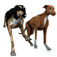 portada1.png DOG - DOWNLOAD Greyhound dog 3d model - Animated CANINE PET GUARDIAN WOLF HOUSE HOME GARDEN POLICE - 3D printing Greyhound DOG DOG DOG