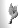 birds-2.jpg birds tit bullfinch Sparrow nightingale