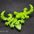 20190524_213650.jpg Flexi-Gelenk-Minigecko