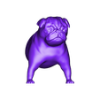 dog2_front.stl Mixable dog models - Puzzle game