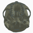 Bottom View.PNG Halo IWHBYD (I Would Have Been Your Daddy) Skull
