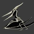 01.jpg Pteranodon: Complete 3D skeletal anatomy.